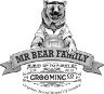 Logotyp varumärke MR Bear